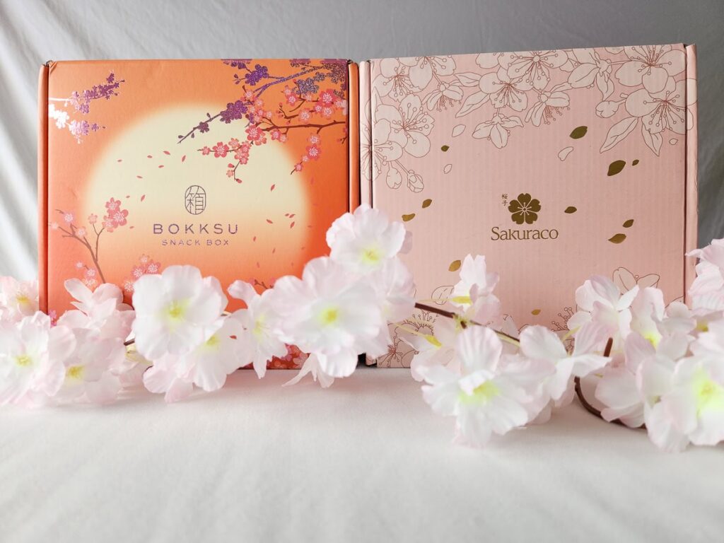 Which Japanese Snack Box is Better?